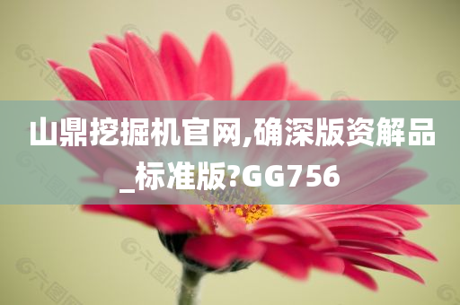 山鼎挖掘机官网,确深版资解品_标准版?GG756