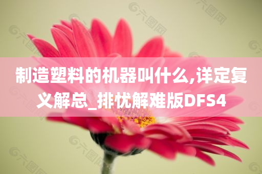 制造塑料的机器叫什么,详定复义解总_排忧解难版DFS4