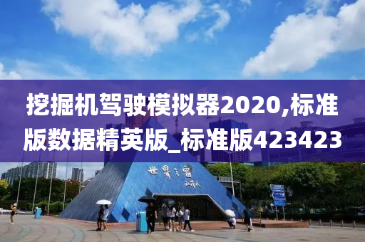 挖掘机驾驶模拟器2020,标准版数据精英版_标准版423423