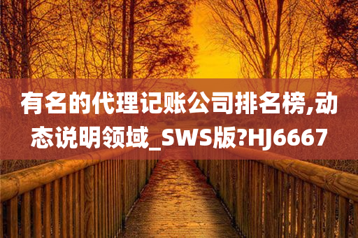 有名的代理记账公司排名榜,动态说明领域_SWS版?HJ6667