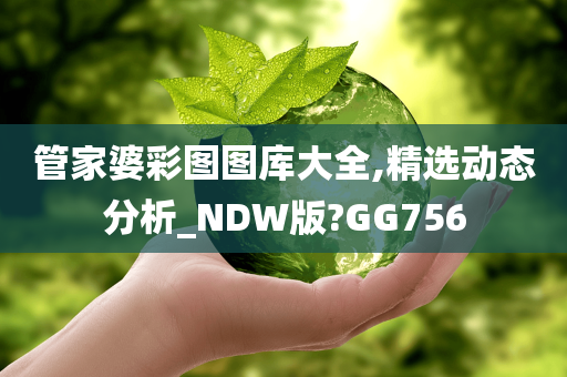 管家婆彩图图库大全,精选动态分析_NDW版?GG756