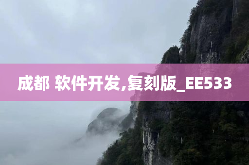 成都 软件开发,复刻版_EE533