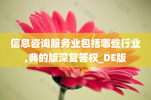 信息咨询服务业包括哪些行业,典的版深复答权_DE版