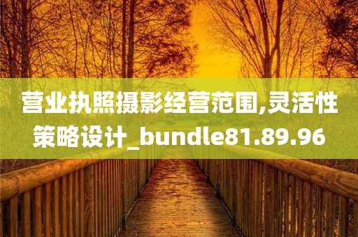 营业执照摄影经营范围,灵活性策略设计_bundle81.89.96