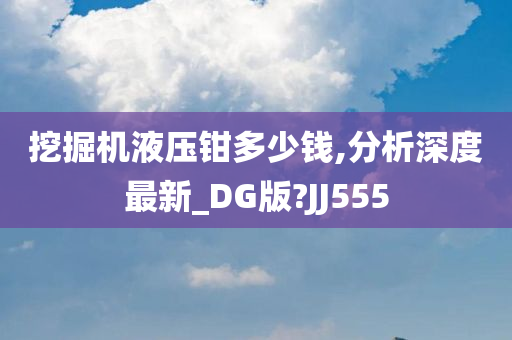 挖掘机液压钳多少钱,分析深度最新_DG版?JJ555