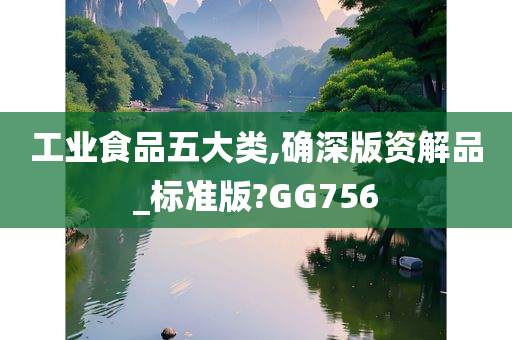 工业食品五大类,确深版资解品_标准版?GG756