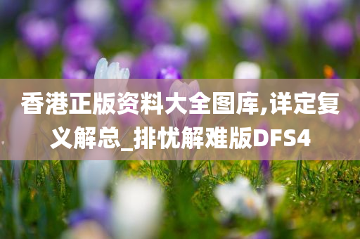 香港正版资料大全图库,详定复义解总_排忧解难版DFS4