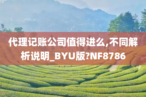 代理记账公司值得进么,不同解析说明_BYU版?NF8786