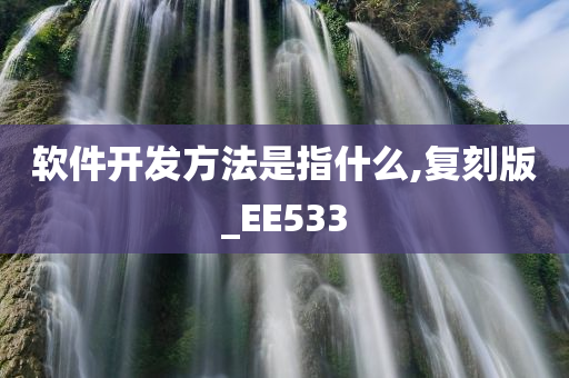 软件开发方法是指什么,复刻版_EE533