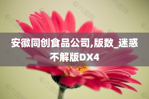 安徽同创食品公司,版数_迷惑不解版DX4