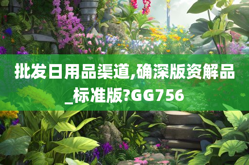 批发日用品渠道,确深版资解品_标准版?GG756