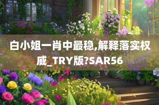 白小姐一肖中最稳,解释落实权威_TRY版?SAR56