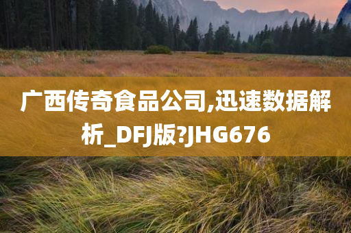 广西传奇食品公司,迅速数据解析_DFJ版?JHG676