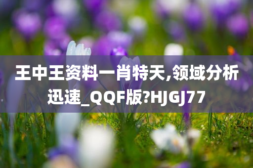 王中王资料一肖特天,领域分析迅速_QQF版?HJGJ77