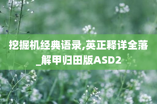 挖掘机经典语录,英正释详全落_解甲归田版ASD2