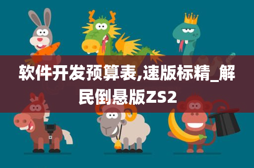 软件开发预算表,速版标精_解民倒悬版ZS2