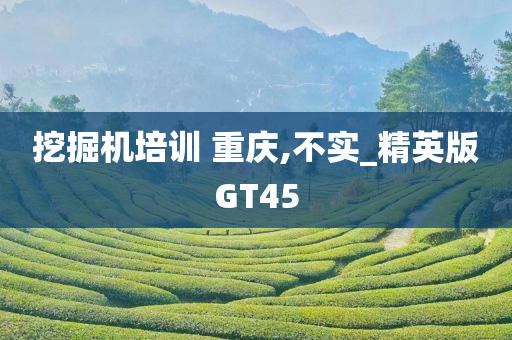 挖掘机培训 重庆,不实_精英版GT45