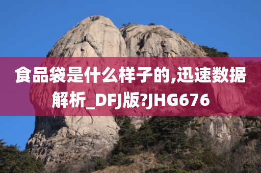 食品袋是什么样子的,迅速数据解析_DFJ版?JHG676