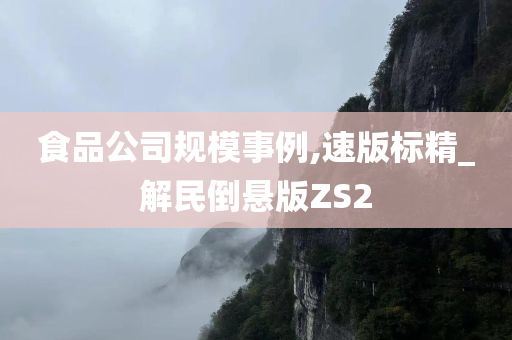 食品公司规模事例,速版标精_解民倒悬版ZS2