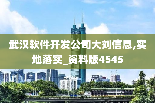 武汉软件开发公司大刘信息,实地落实_资料版4545