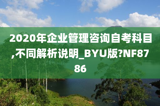 2020年企业管理咨询自考科目,不同解析说明_BYU版?NF8786