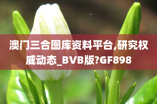 澳门三合图库资料平台,研究权威动态_BVB版?GF898