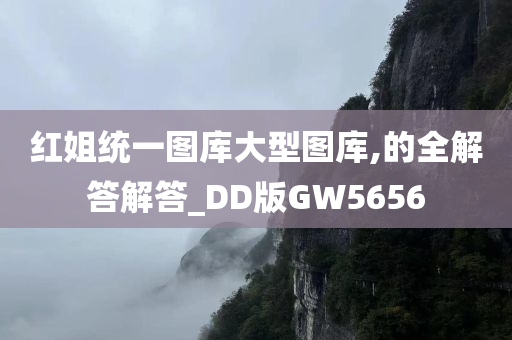 红姐统一图库大型图库,的全解答解答_DD版GW5656