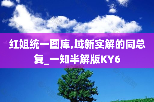 红姐统一图库,域新实解的同总复_一知半解版KY6