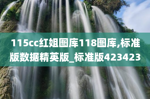 115cc红姐图库118图库,标准版数据精英版_标准版423423