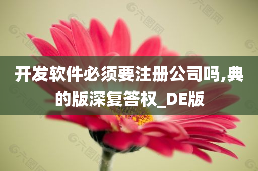 开发软件必须要注册公司吗,典的版深复答权_DE版