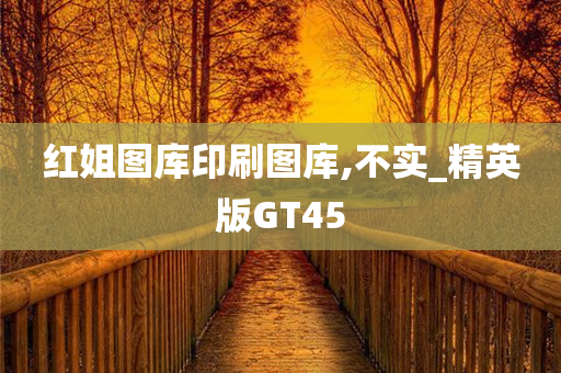 红姐图库印刷图库,不实_精英版GT45