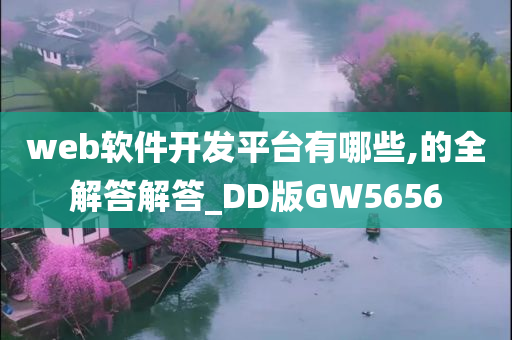 web软件开发平台有哪些,的全解答解答_DD版GW5656