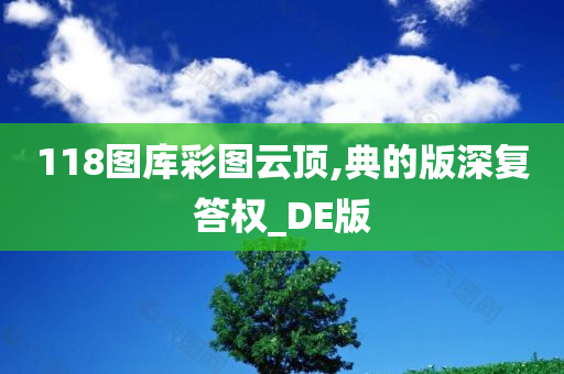 118图库彩图云顶,典的版深复答权_DE版