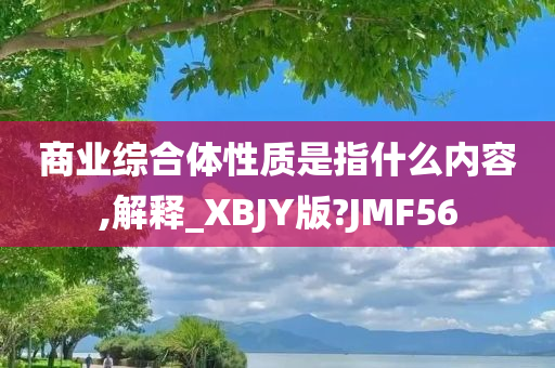 商业综合体性质是指什么内容,解释_XBJY版?JMF56