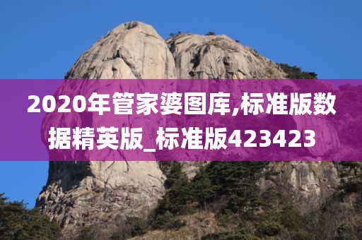 2020年管家婆图库,标准版数据精英版_标准版423423