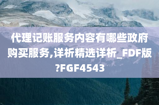 代理记账服务内容有哪些政府购买服务,详析精选详析_FDF版?FGF4543