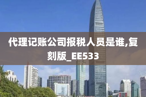 代理记账公司报税人员是谁,复刻版_EE533