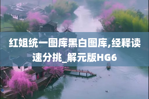 红姐统一图库黑白图库,经释读速分挑_解元版HG6