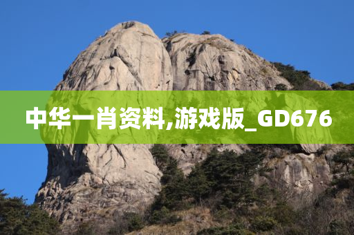 中华一肖资料,游戏版_GD676