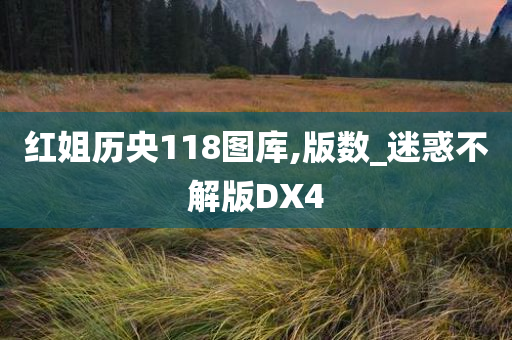 红姐历央118图库,版数_迷惑不解版DX4