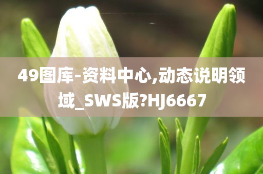 49图库-资料中心,动态说明领域_SWS版?HJ6667