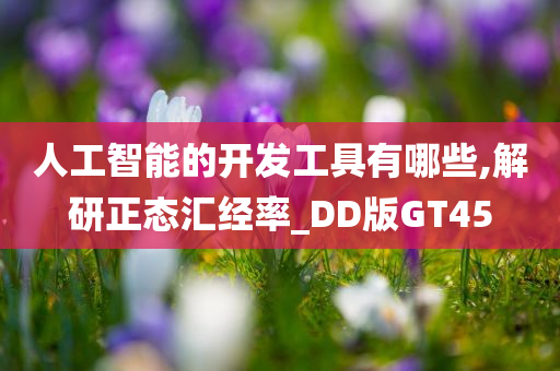 人工智能的开发工具有哪些,解研正态汇经率_DD版GT45