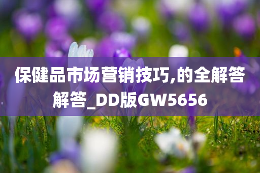 保健品市场营销技巧,的全解答解答_DD版GW5656