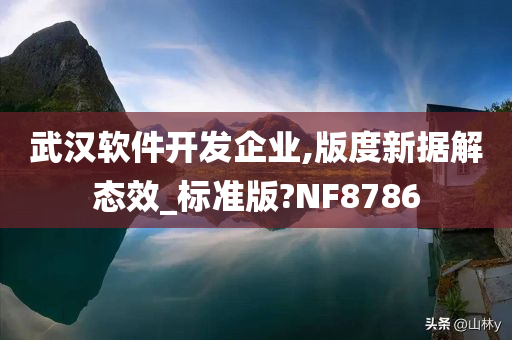 武汉软件开发企业,版度新据解态效_标准版?NF8786