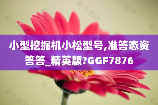 小型挖掘机小松型号,准答态资答答_精英版?GGF7876