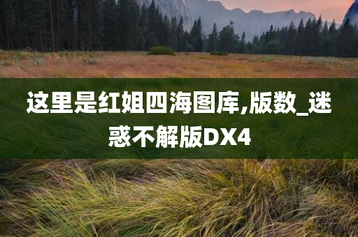 这里是红姐四海图库,版数_迷惑不解版DX4