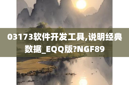 03173软件开发工具,说明经典数据_EQQ版?NGF89