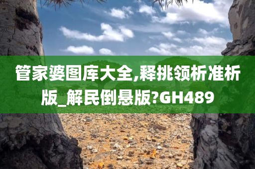 管家婆图库大全,释挑领析准析版_解民倒悬版?GH489