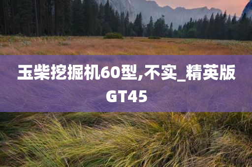 玉柴挖掘机60型,不实_精英版GT45