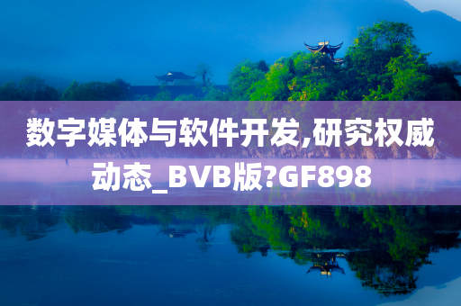 数字媒体与软件开发,研究权威动态_BVB版?GF898